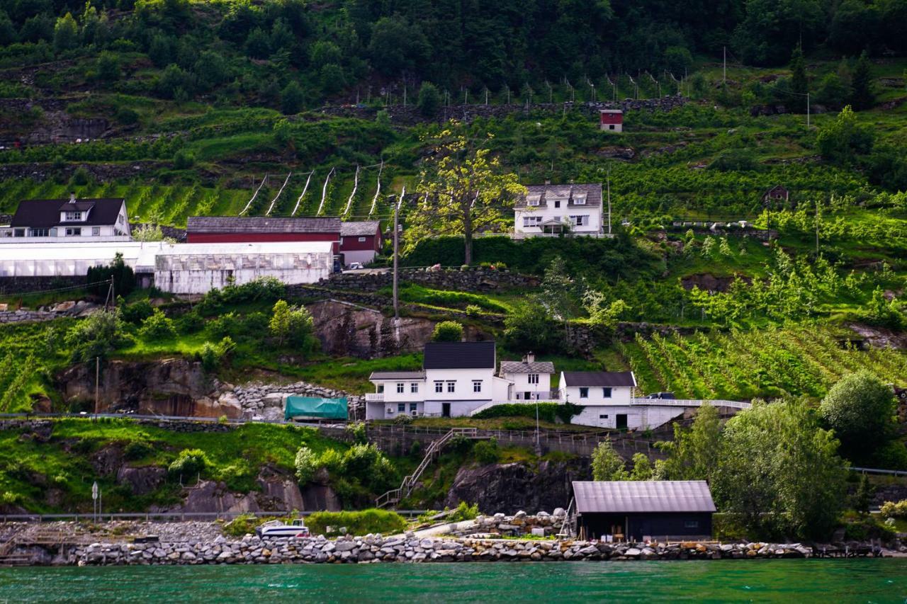 Willa Fjord House Grimo Zewnętrze zdjęcie